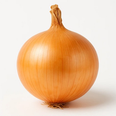 국내산 만생종 햇양파 산지직송 신선 양파 대용량, 1박스, 대 5kg