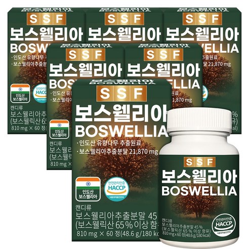 순수식품 보스웰리아 보스웰릭산65% 12개월분(360정)