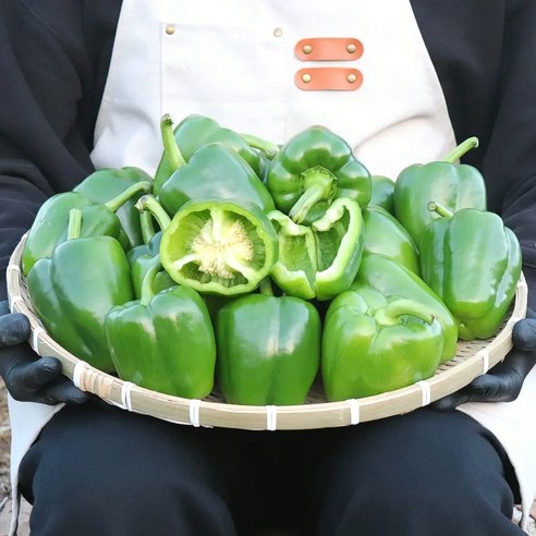 농산물마루 국내산 청파프리카 초록파프리카 청피망