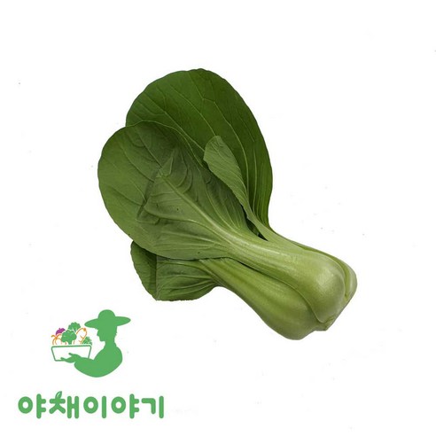 야채이야기 싱싱한 청경채 500g, 1개, 500g