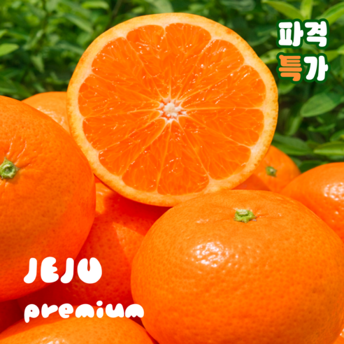 [제주프리미엄] 새콤달콤 꿀brix 로얄과 진지향, 1박스, 5kg (정품혼합)