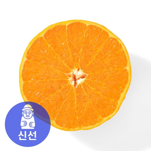 [재구매율1위] 최고당도 17브릭스 천혜향 로얄과