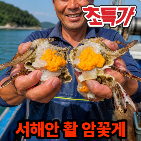 [초특가] 서해안 활 암꽃게 봄꽃게 알배기, 1박스, 2kg