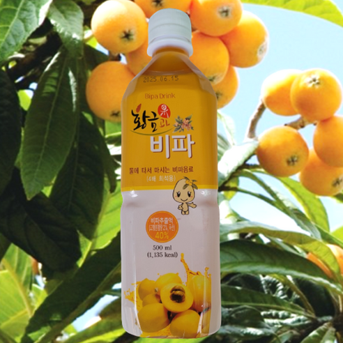 황금과비파 4배농축주스 500ml  1병 2병 3병 20병 선물용 비타민주스