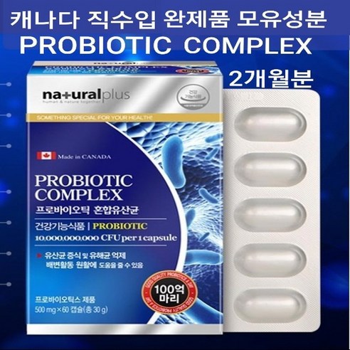 생존식품