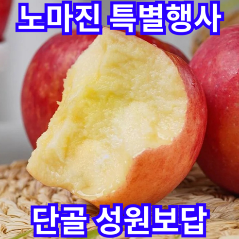 [노마진행사]성원보답 신선가득 못난이 자연단맛 꿀사과, 1박스, 3kg