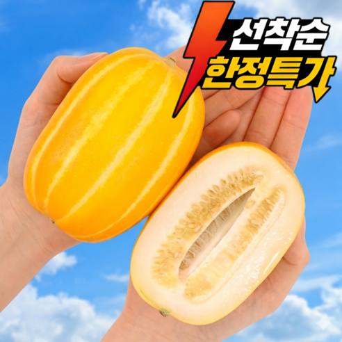 [오늘만이가격] 당일수확 농장직송 성주 꿀참외
