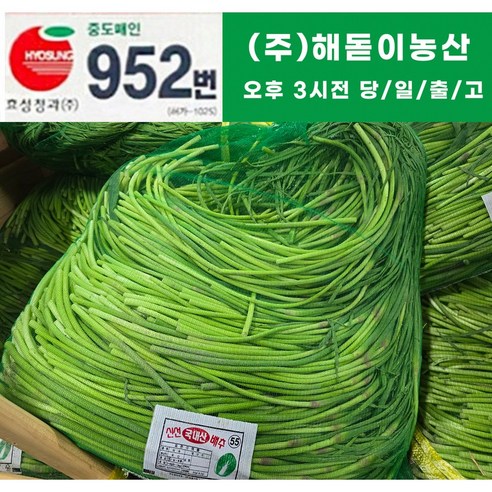 해돋이 농산 국내산 햇 마늘쫑(바라) 1kg 2kg 3kg 5kg 10kg(상세페이지꼭참조)