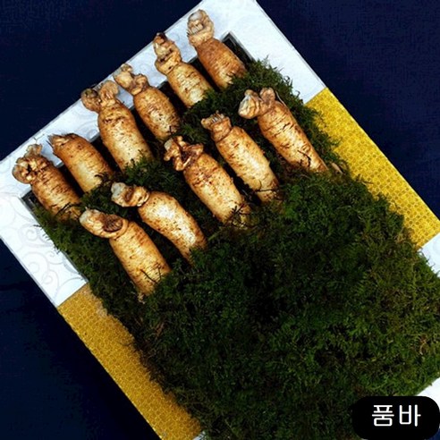 수삼선물세트