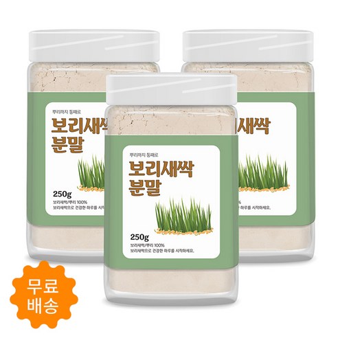 새싹보리
