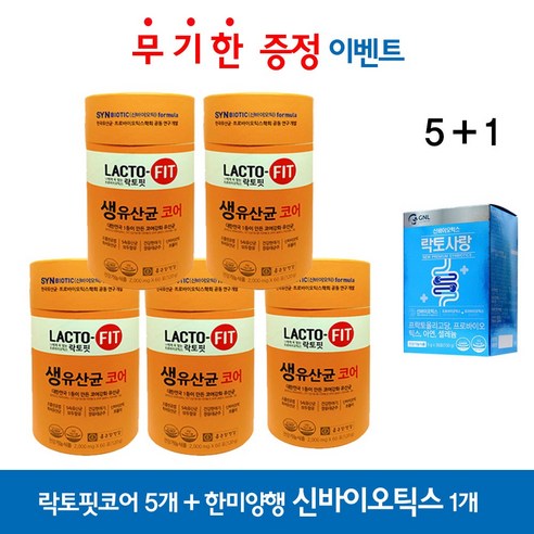 락토핏