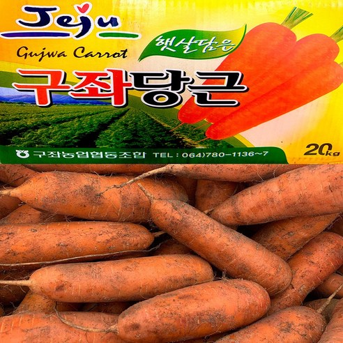 농부곳간 수분 가득한 제주 구좌 햇 흙당근, 1개, 당근 2kg 중