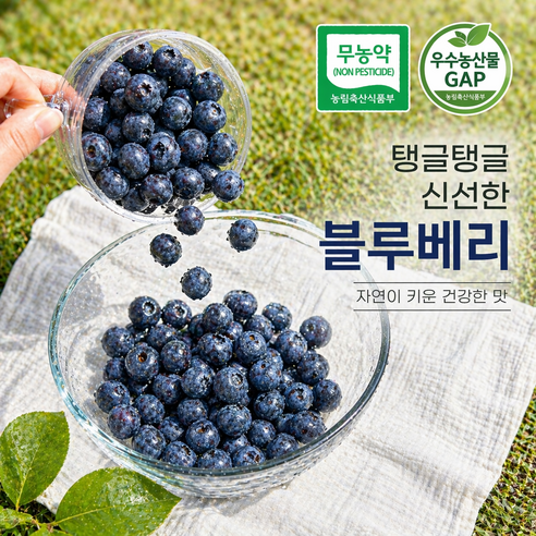 [인증마크보유] 로하스 공식인증 무농약 우수상품 국내산 블루베리, 1개, 100g 대