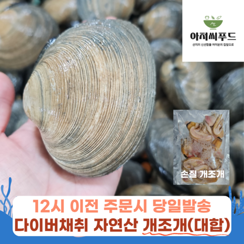 거제 다이버 자연산 활 개조개 대합 손질 조개탕 구이용 산지직송