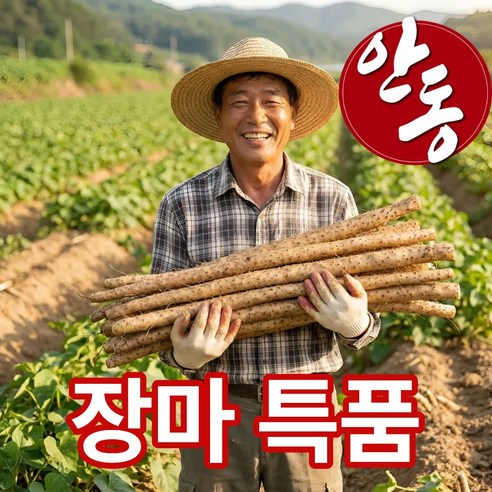 더맛곳간 국내산 안동 마 장마 햇 마 국산