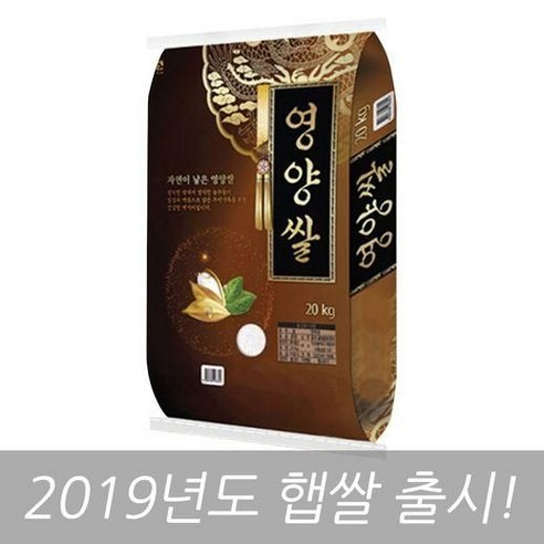 쌀