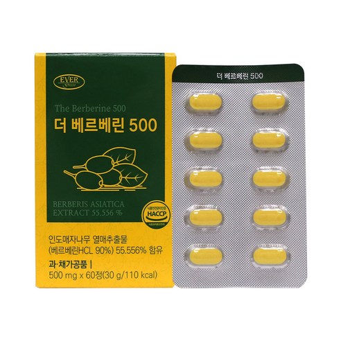 더베르베린500 500mgx60정