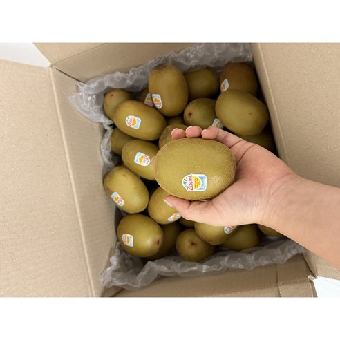 제스프리 슈퍼점보 초고당도 썬 골드키위 프리미엄 대과 1kg, 1개, 왕점보 1.5kg(10입)