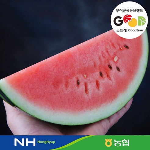 전대표 농협 하우스 수박 옵션선택 / 굿뜨래 정품 / 실중량 / watermelon