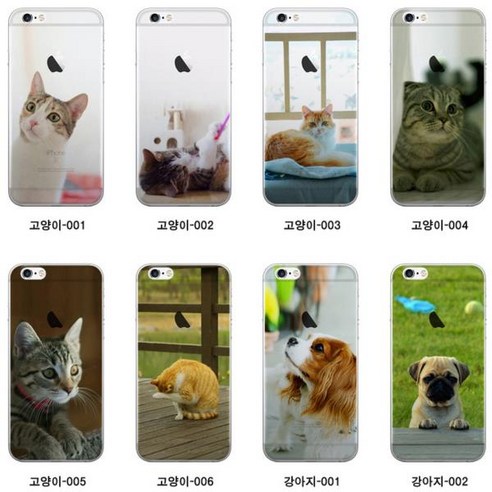 코스트코상품권