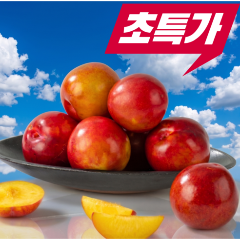 [타임특가] 초특가할인 고당도햇자두 산지직송 제철과일