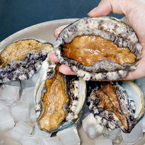 바다in연 프리미엄 활전복 1kg 완도산, 산소포장