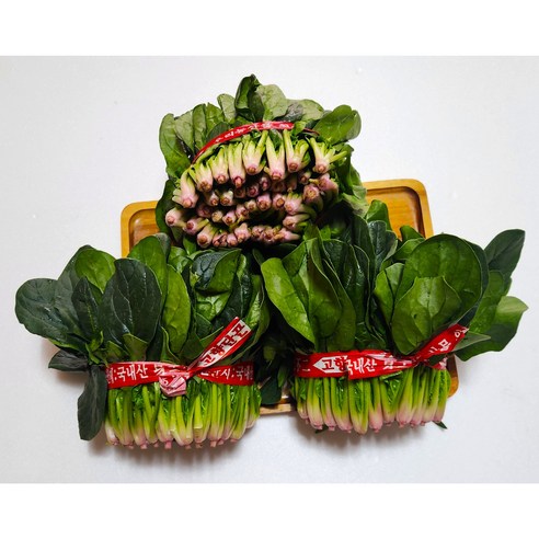포항초 시금치 섬초 하우스 시금치, 1kg