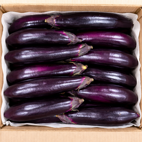 국내산 가지 특품 최상품, 1개, 5kg(특품)