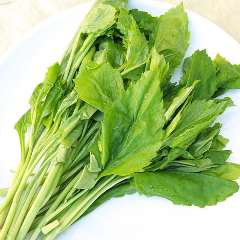 국내산 생 부지깽이 쑥부쟁이 신선 나물, 1개, 1kg