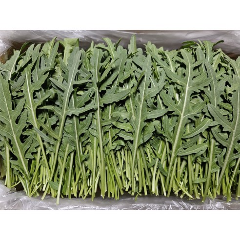 [하루채소] 와일드루꼴라 500g,1kg 가락시장직배송