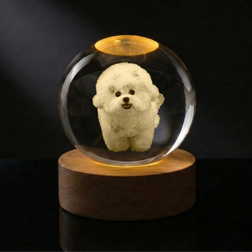 [맞춤 제작 상품] 강아지 고양이 3D각인 멍냥구슬 소담구슬, [어댑터 포함] 차가운 빛 화이트 조명