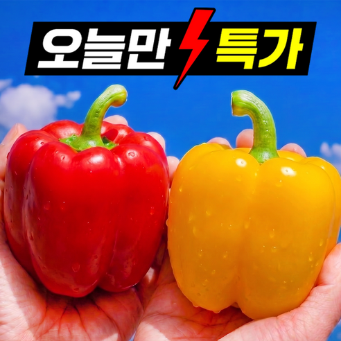 [특상품선별] 딱100박스만 국내산 파프리카 피망