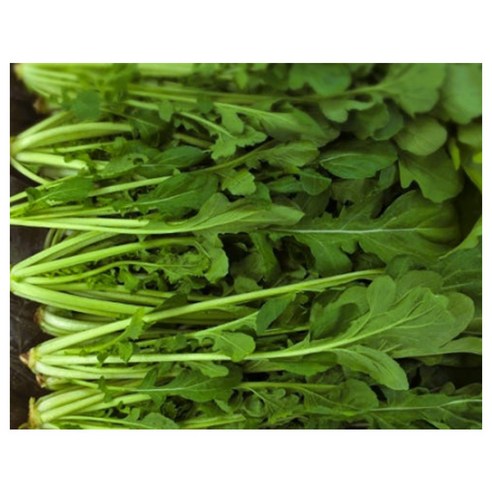 야채왕 루꼴라(로케트) 50g /100g, 1개