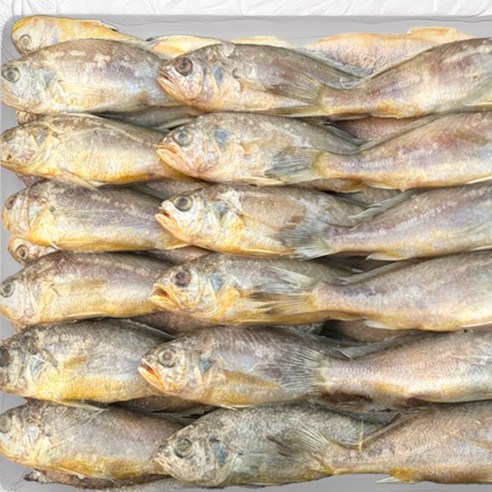 조기 참조기 3.5kg 부세 민어 업소용 도매 냉동 굴비 구이