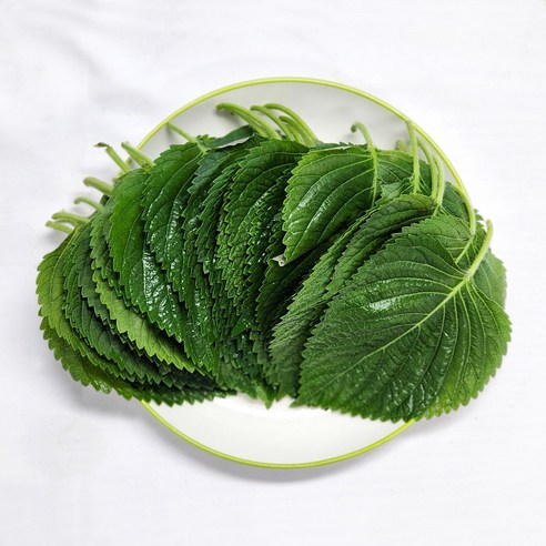 국내산 울팜 GAP 깻잎 찹찹이깻잎 쌈채소, 1개, 1kg