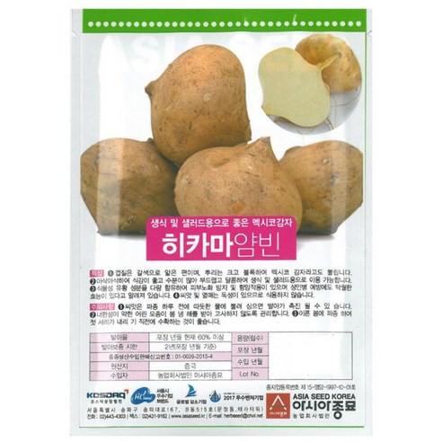 아시아종묘 씨앗 히카마 얌빈 멕시코감자 30립, 3개