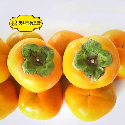 쿠팡! | 풍원영농조합법인 달콤한 진영 햇 단감 10Kg 풍원영농조합법인 달콤한 진영 햇 단감 10Kg