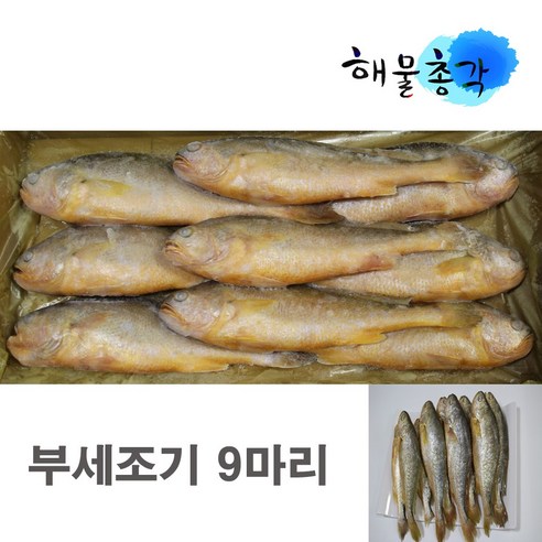 부세조기