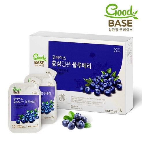 정관장 굿베이스