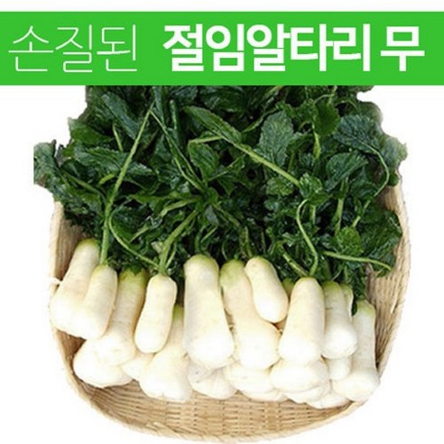 절임알타리