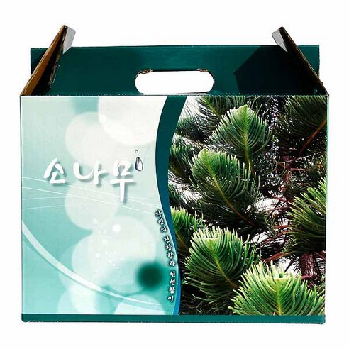 와송즙