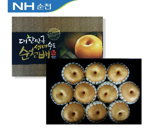 순천배 고르는 팁