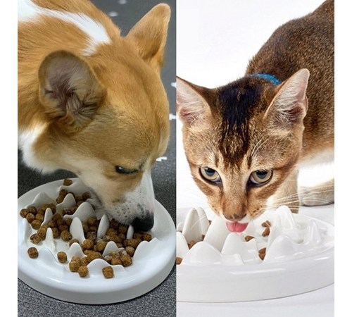 휴대용 고양이 개구기