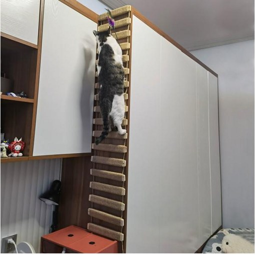 고양이 스크래처 벽걸이 활동 장난감 나무 사이잘 등산가 가구 다리 로프 계단 사다리 새끼 포스트 벽