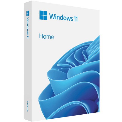 마이크로소프트 Windows 11 Home 처음사용자용 FPP USB HAJ-00095, HAJ-00095