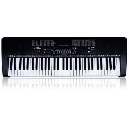 토이게이트 61키 풀옵션형 교습용 디지털 피아노 TYPE T C, 단일상품, 블랙