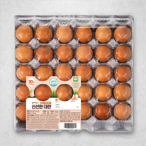 곰곰 무항생제 신선한 대란