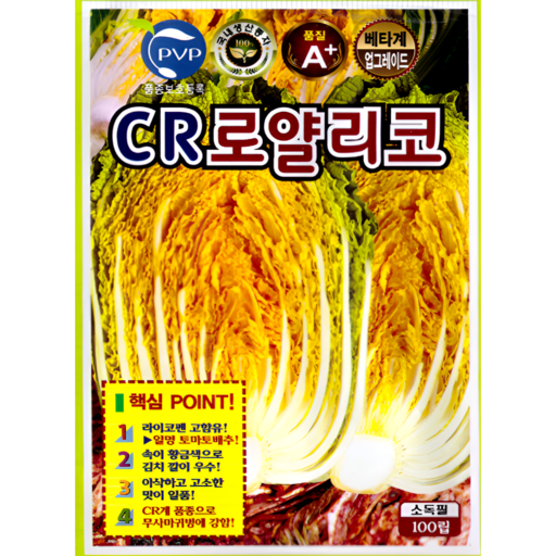CR로얄리코배추 김장 종자 100립 황금 배추 라이코펜 베타카로틴 고함유 배추 씨앗 텃밭용 ks