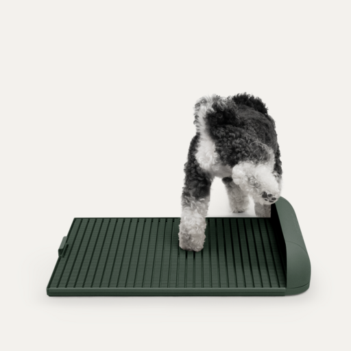독톡 강아지 연장형 배변판