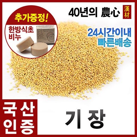d65d8e2b-4cd4-48ca-8beb-649fbbc74dba.jpg